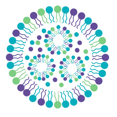 Extra-Hepatic Lipid-Based Nanoparticles